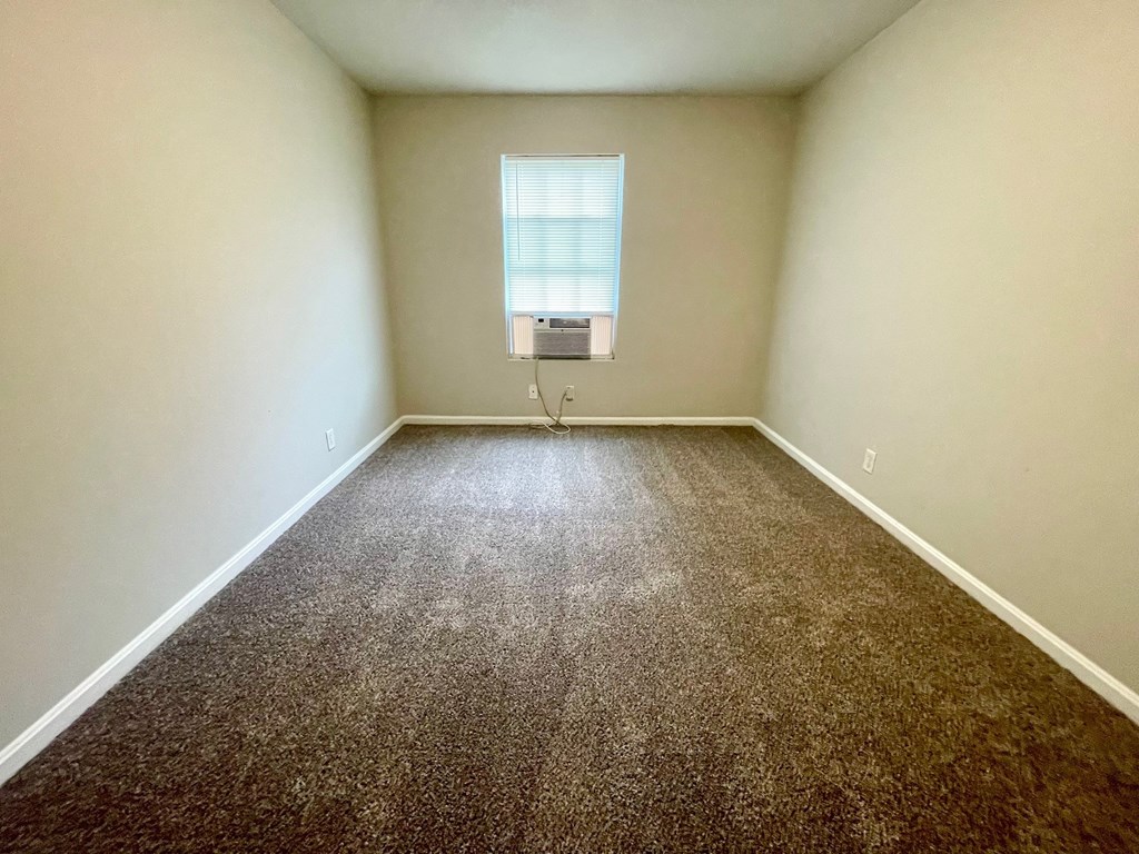 A room with a brown carpet and a window with blinds.