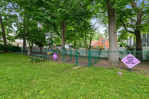 the dog park has a chain link fence and benches