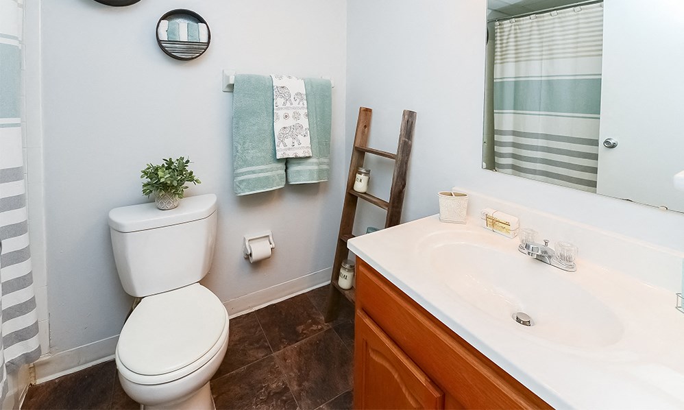 a bathroom with a toilet and a sink and a mirror