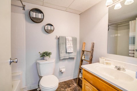 a bathroom with a toilet sink and a mirror