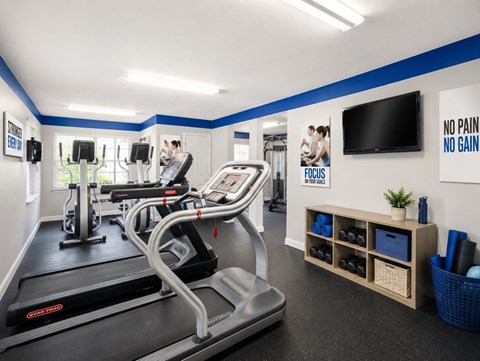 A gym with treadmills and elliptical machines.
