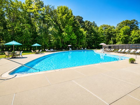 A large swimming pool surrounded by trees and lounge chairs.