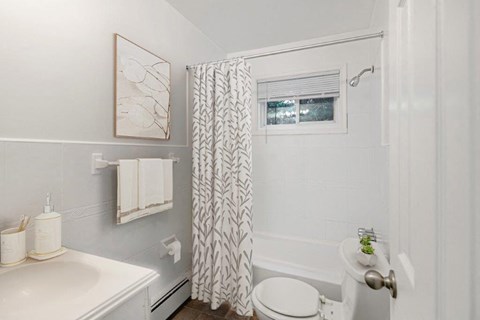 a bathroom with a shower curtain and a toilet and a sink