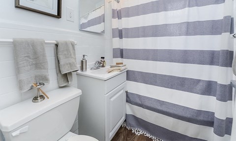 a bathroom with a shower curtain and a sink and a toilet