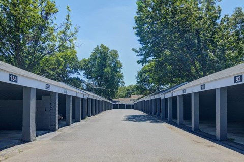 an empty parking lot with trees on both sides of it