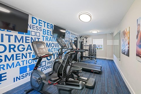a gym with weights and a large wall of gym equipment