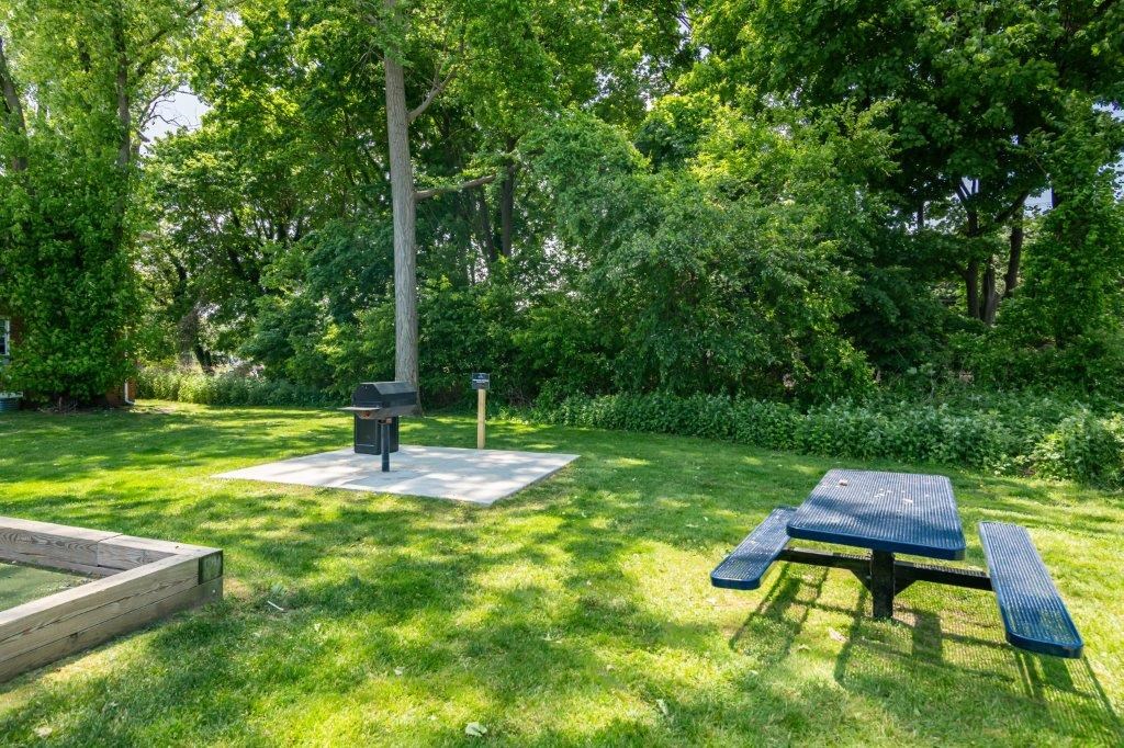 a picnic area with a picnic table and a grill