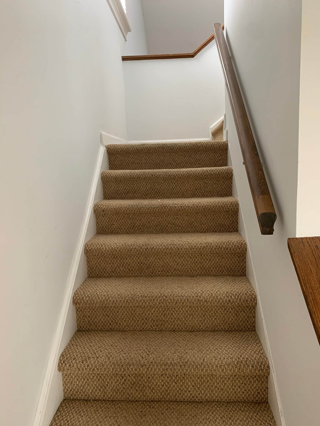 a carpeted staircase with a wooden railing and carpeted stairs