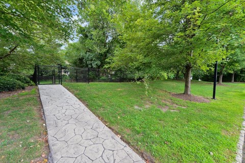 a walkway through a park with trees and a fence