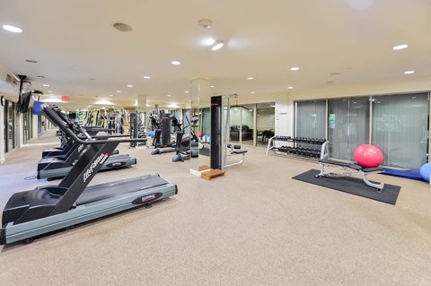 a gym with treadmills and other equipment in a building with glass walls