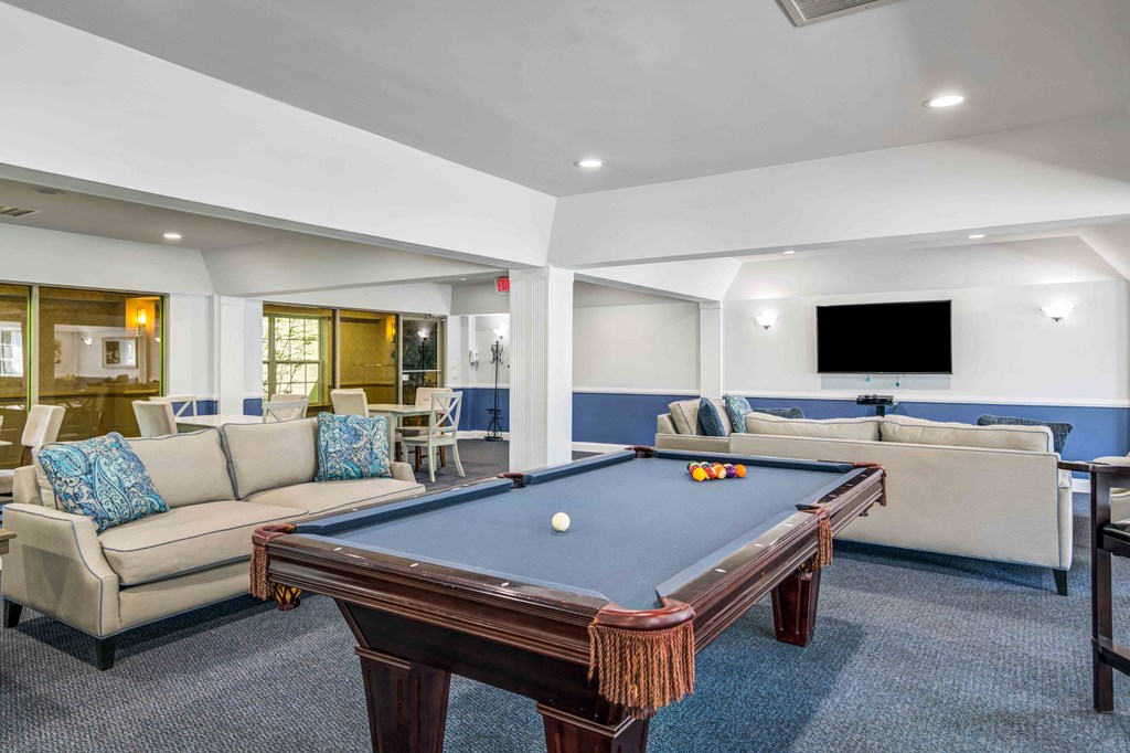 a game room with a pool table and couches