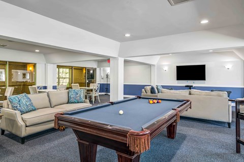 a game room with a pool table and couches