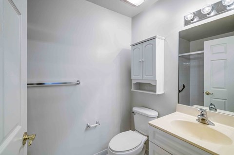 a bathroom with a sink toilet and a mirror
