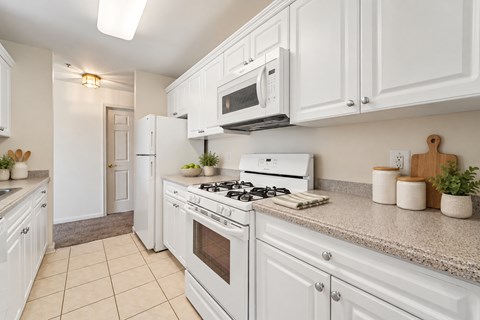 121 Courter Rd 1-2 Beds Apartment for Rent