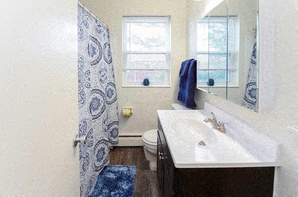 a bathroom with a sink and a toilet and a shower