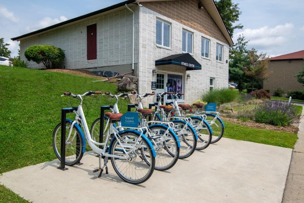 a row of bikes parked in front of a house