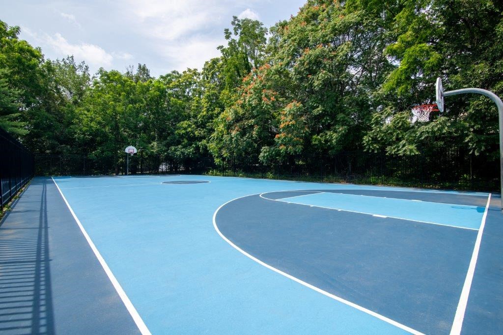 a blue basketball court in a park with trees