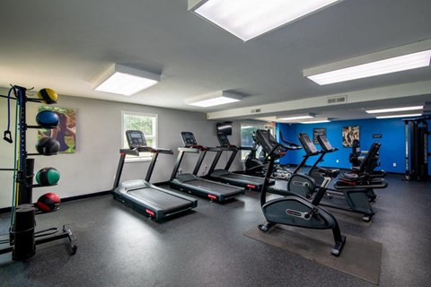 a gym with cardio equipment and weights in a building