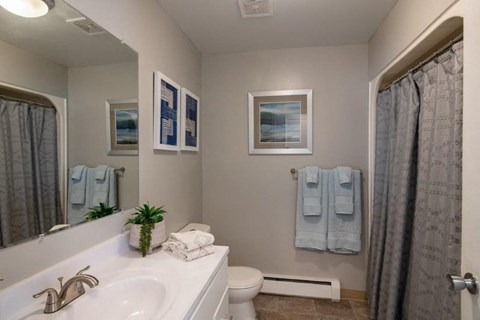 a bathroom with a sink and a toilet and a shower