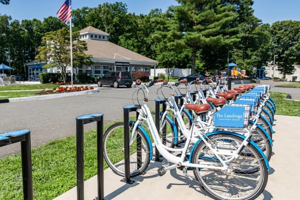 a row of bikes parked in front of a park