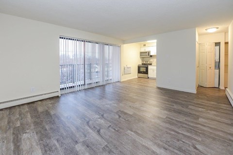 A spacious living room with a kitchen in the background.