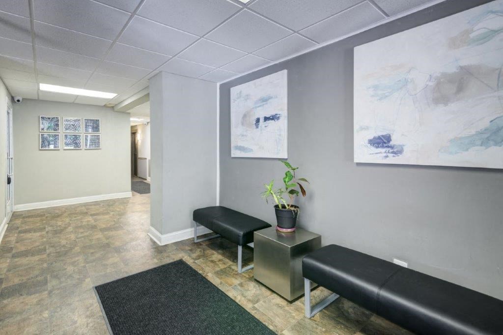 an empty room with two black benches and a potted plant