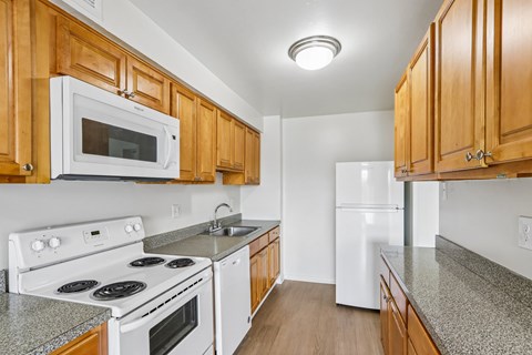 106 Chestnut St Studio-2 Beds Apartment for Rent