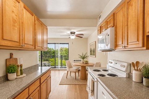 106 Chestnut St Studio-2 Beds Apartment for Rent