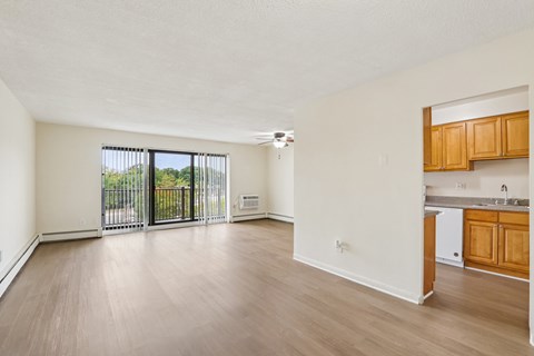 106 Chestnut St Studio-2 Beds Apartment for Rent