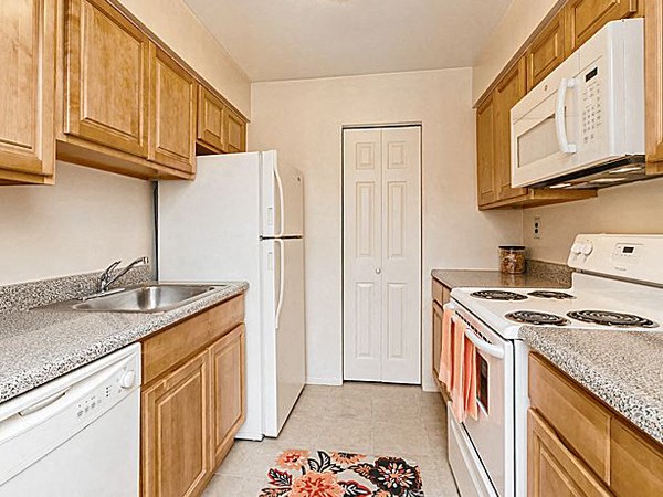 a kitchen with a stove refrigerator and a sink