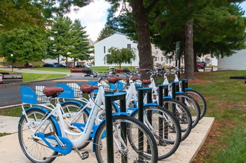 a row of blue bikes parked on a sidewalk