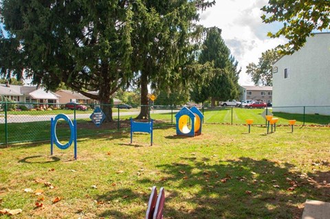 a park with a playground and a tree