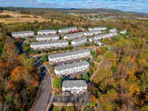 an aerial view of a group of buildings surrounded by trees