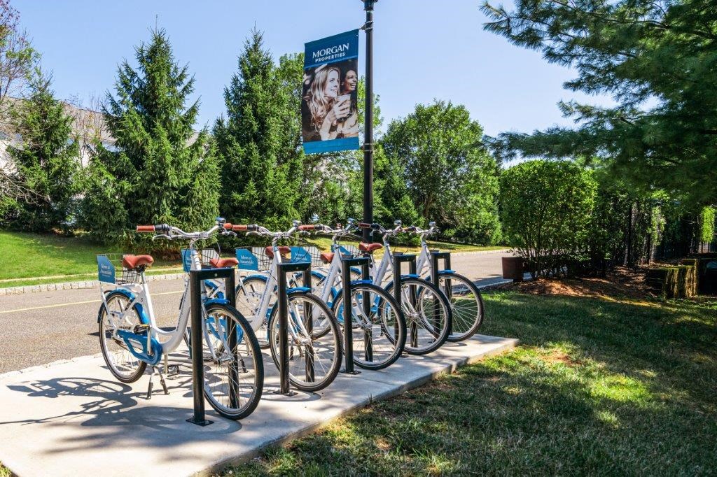 a row of bikes parked next to a sidewalk
