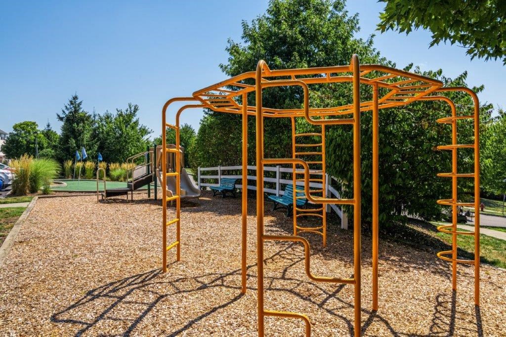 a playground at a park with a slide