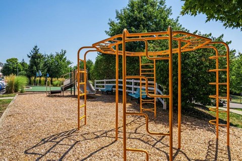 a playground at a park with a slide