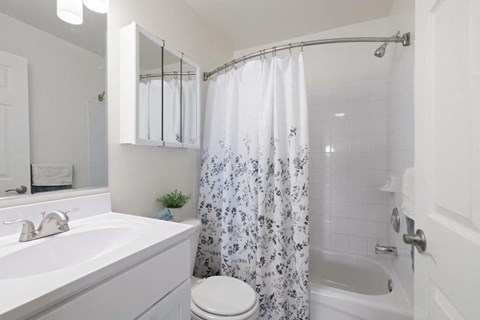 a bathroom with a shower and a sink and a toilet