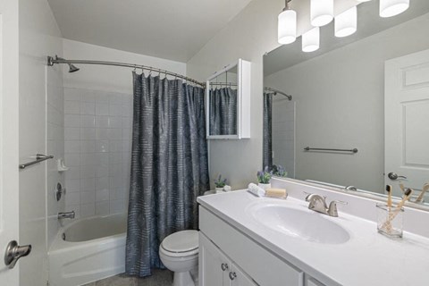 a bathroom with a sink toilet and a shower