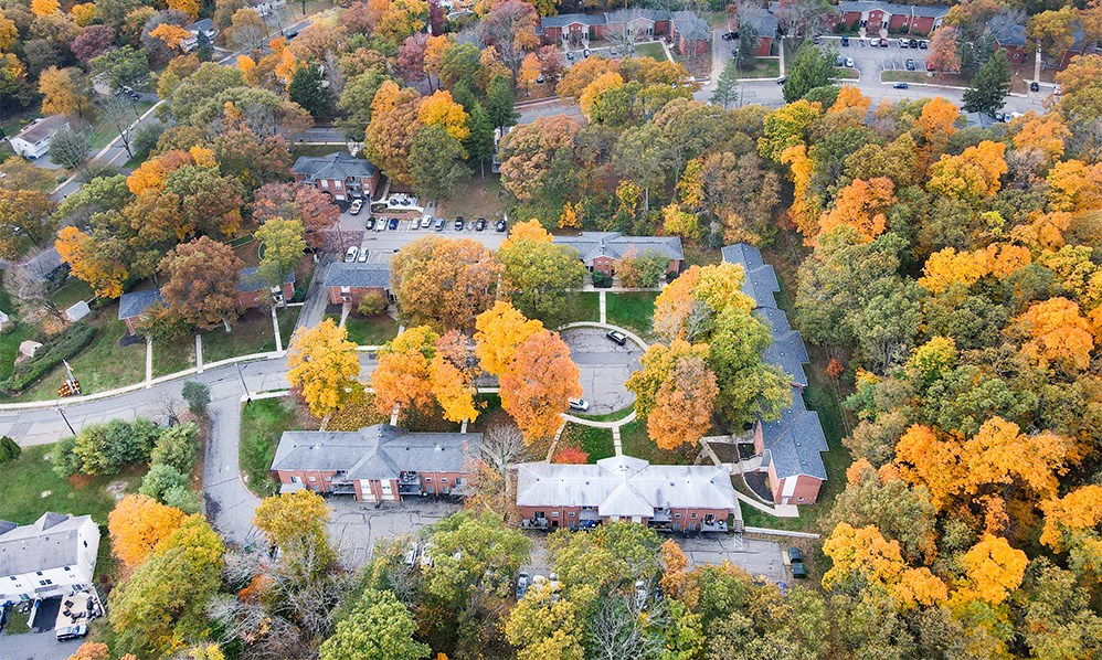 an aerial view of houses surrounded by trees in autumn