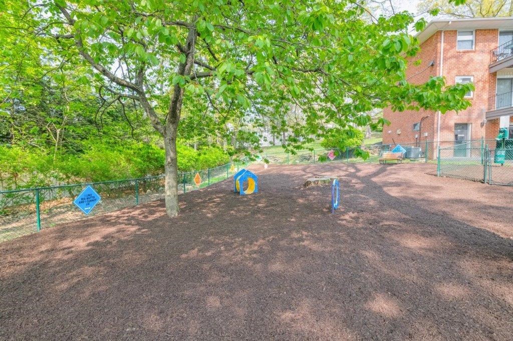 a dog park with trees and a fence