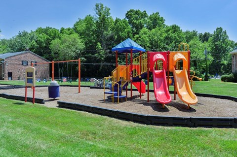 a childrens playground at a park with slides