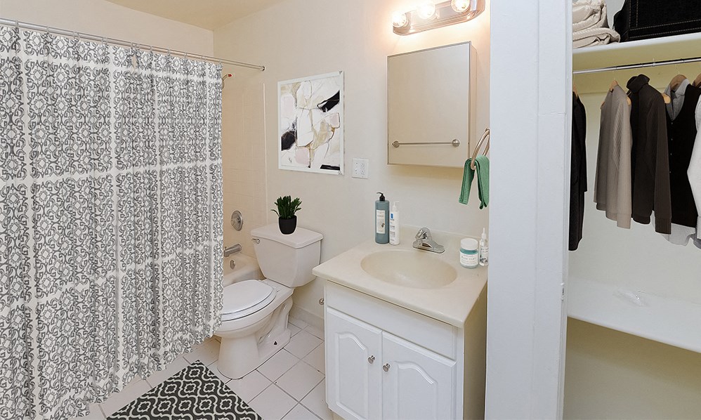 a bathroom with a sink and a toilet and a shower