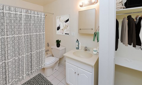 a bathroom with a sink and a toilet and a shower