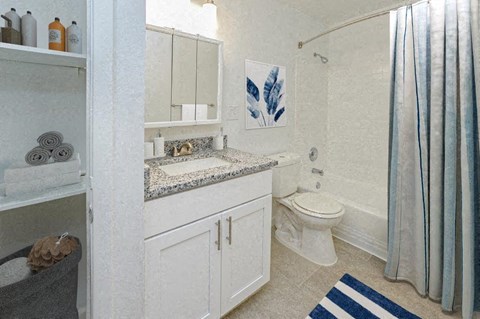 a bathroom with a sink toilet and a shower