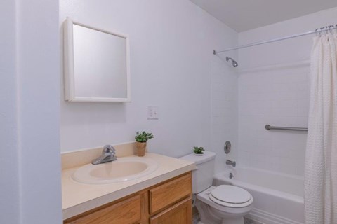 a bathroom with a sink toilet and a shower