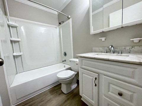 a bathroom with a sink toilet and a tub