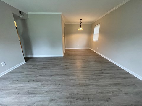 a empty living room with a wood floor and a ceiling light