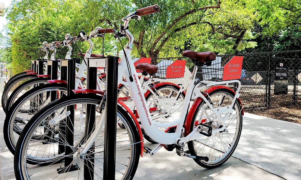 a row of bikes parked next to each other