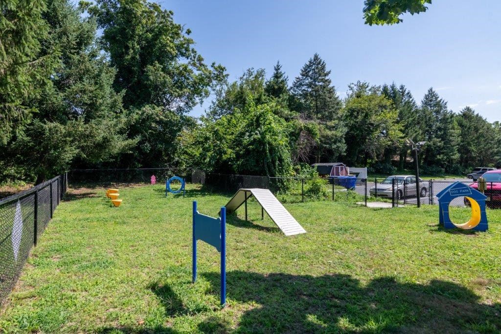 the park has a playground and a picnic area
