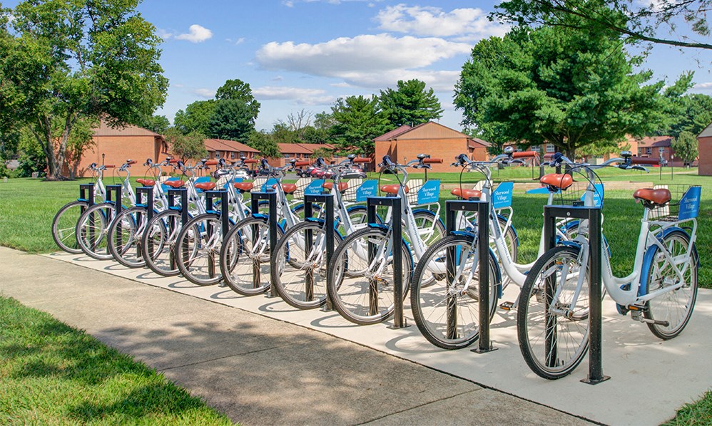 a row of bikes parked on a bike rack